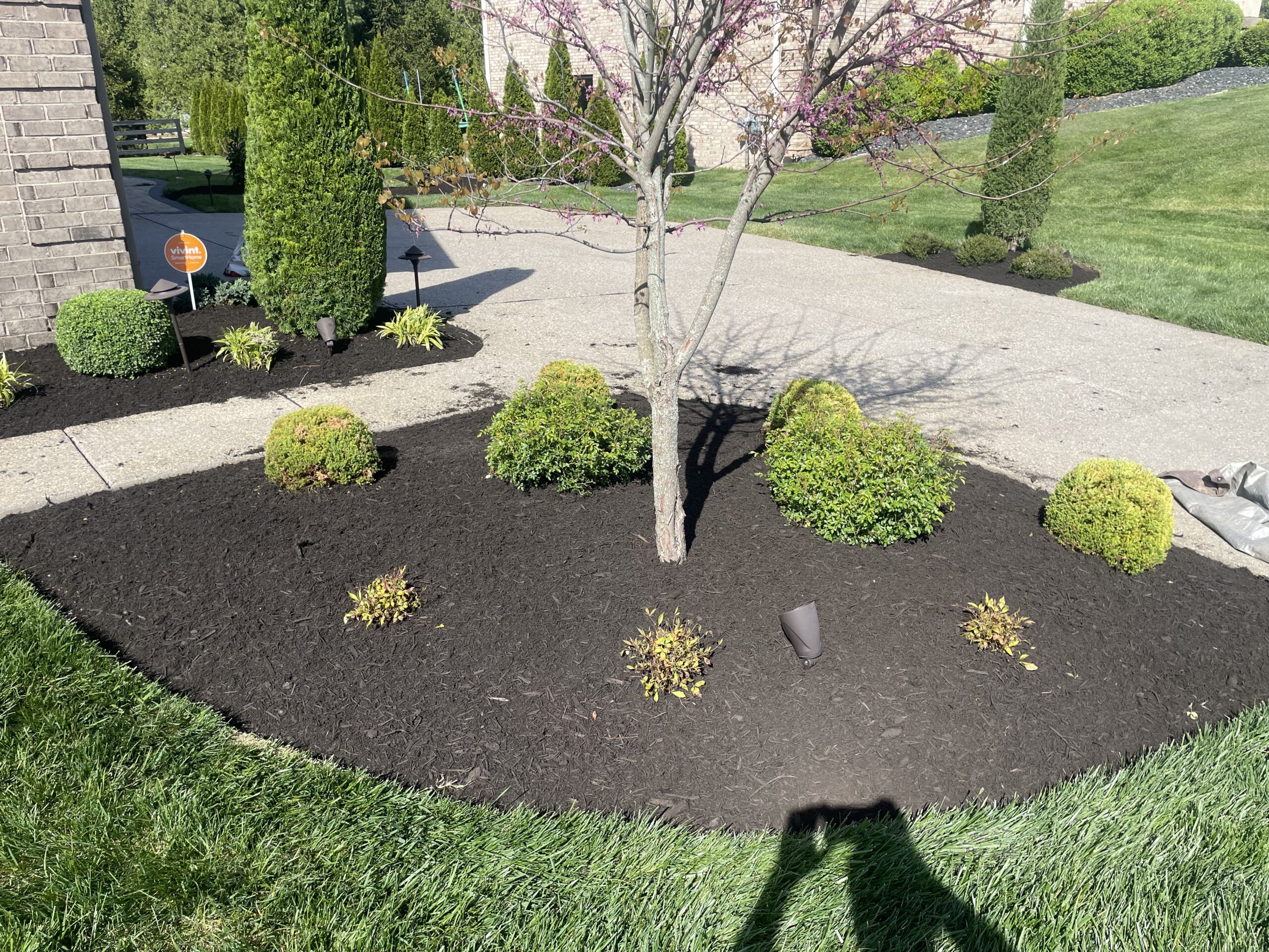 Check out our blog about Ultimate Guide: Landscaping Around a Tree with Exposed Roots