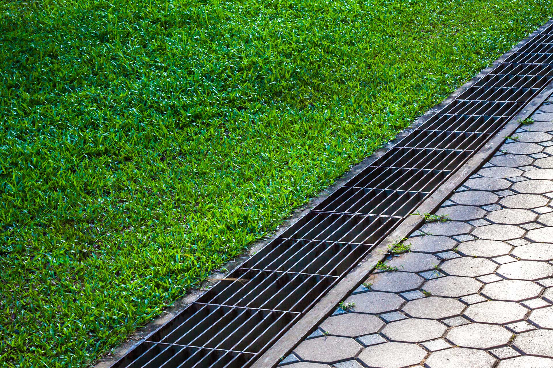 A yard drainage system installation in Keeneland, KY, designed to manage excess water effectively in residential gardens.