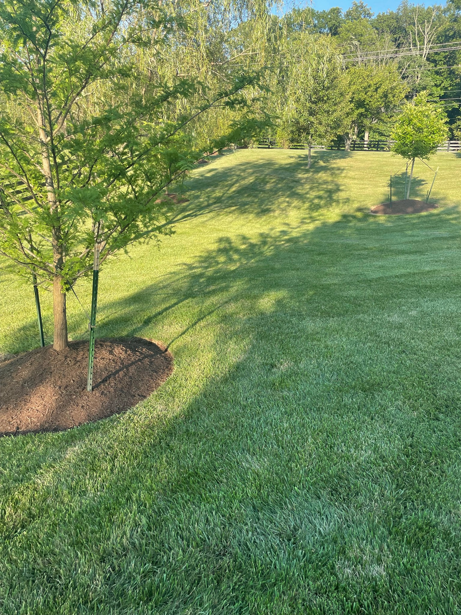 Check out our blog about Ultimate Guide: Landscaping Around a Tree with Exposed Roots