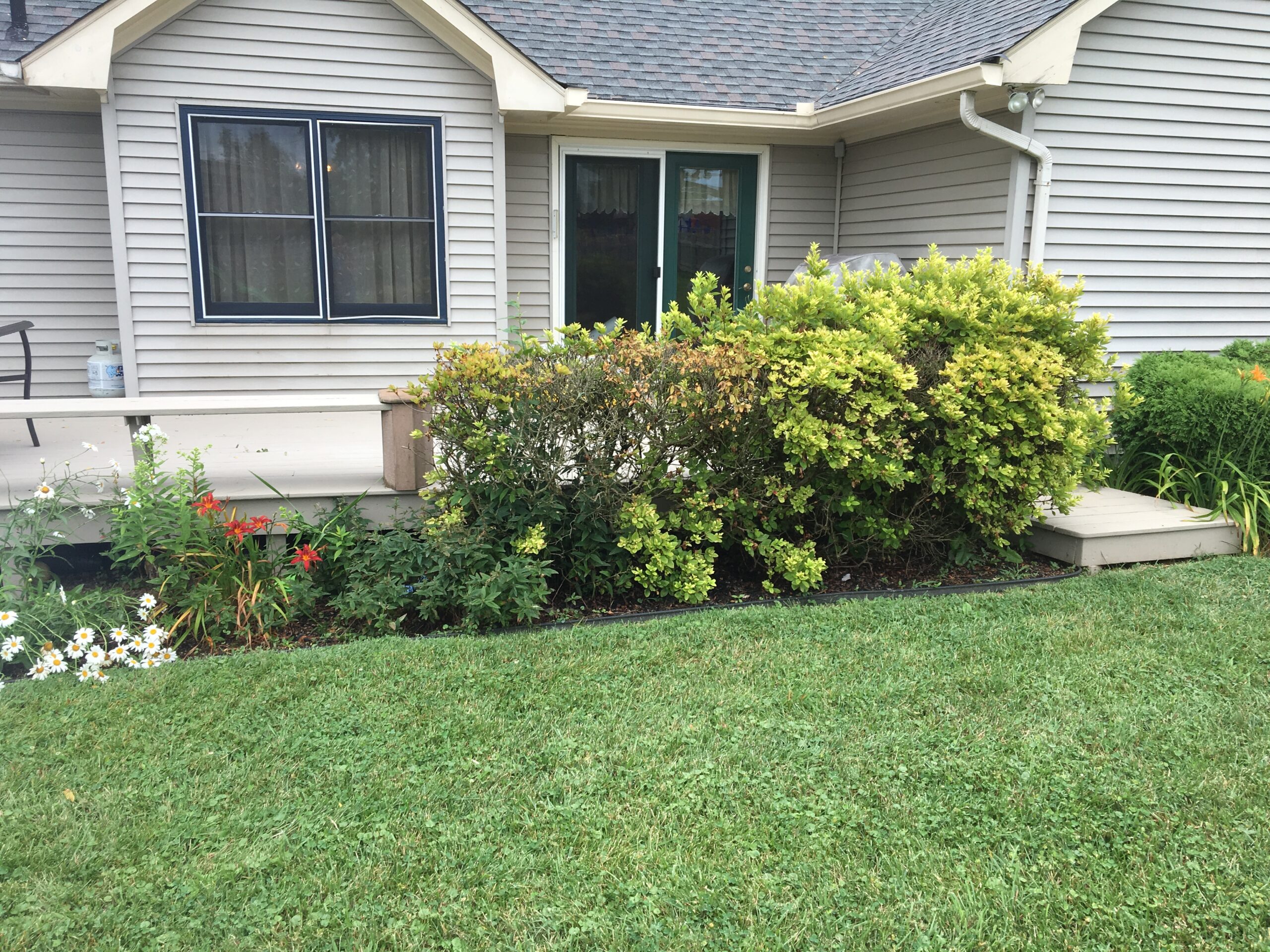 Check out our blog about How to Hide a Generator With Landscaping Tricks