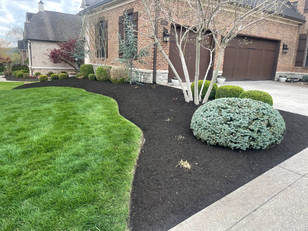 Check out our blog about Landscaping Permits 101: Key Things You Must Know Before Starting Your Project