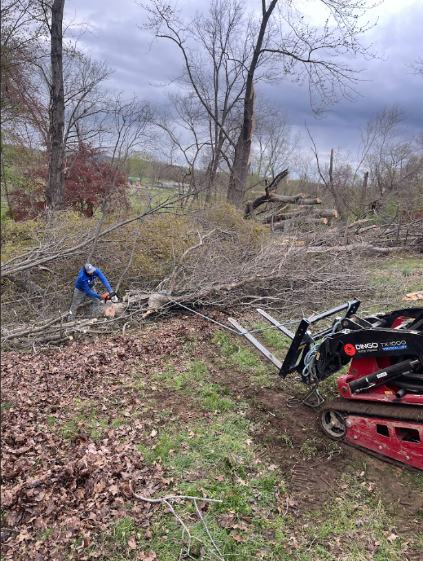 A professional tree removal service in Prospect, KY. A worker in safety gear uses a chainsaw to cut through a large tree branch, with sawdust and wood chips flying in the air. The scene is set against a backdrop of lush green foliage.