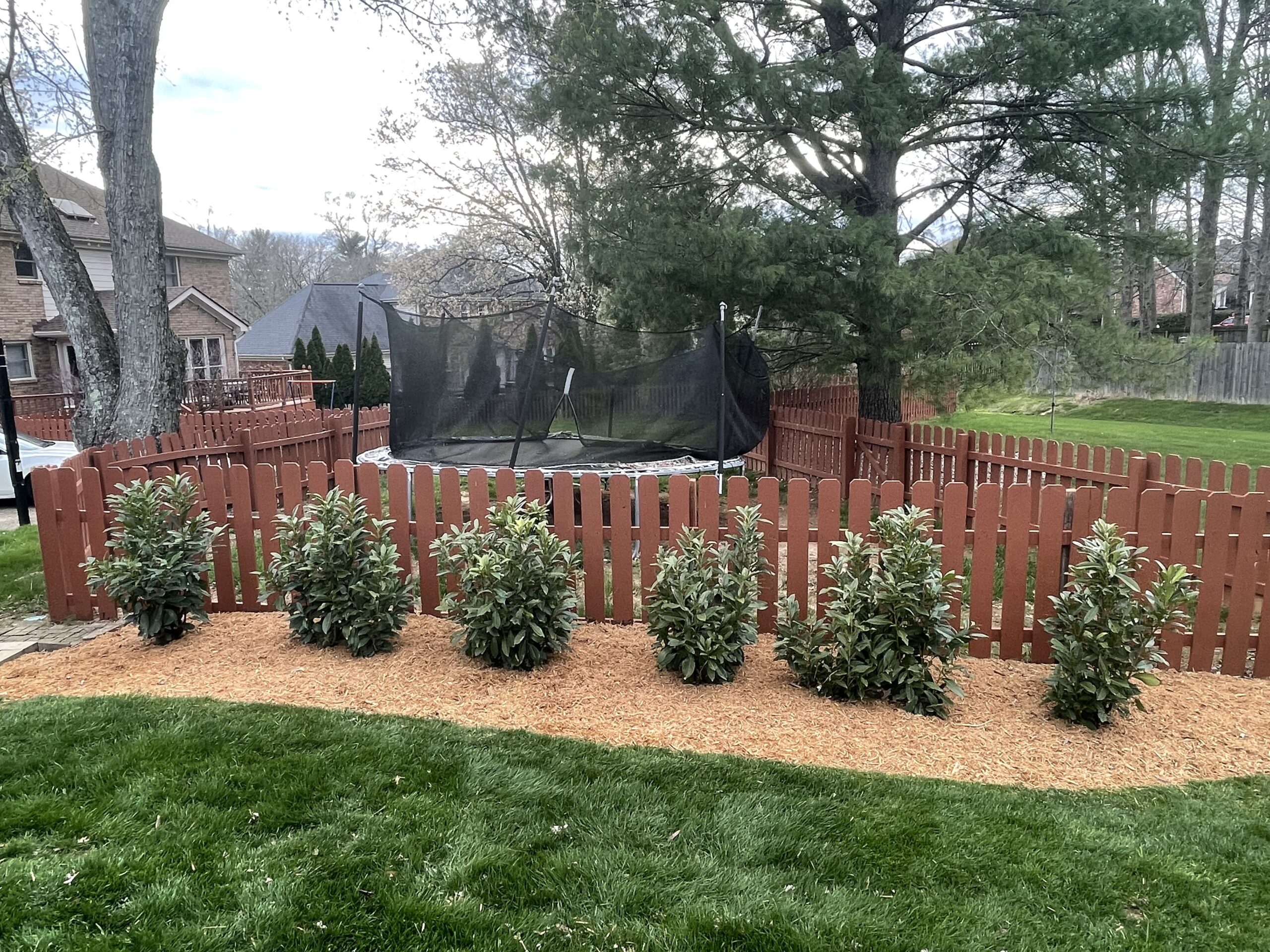 Check out our blog about Budget-Friendly Tips for Landscaping a Steep Slope