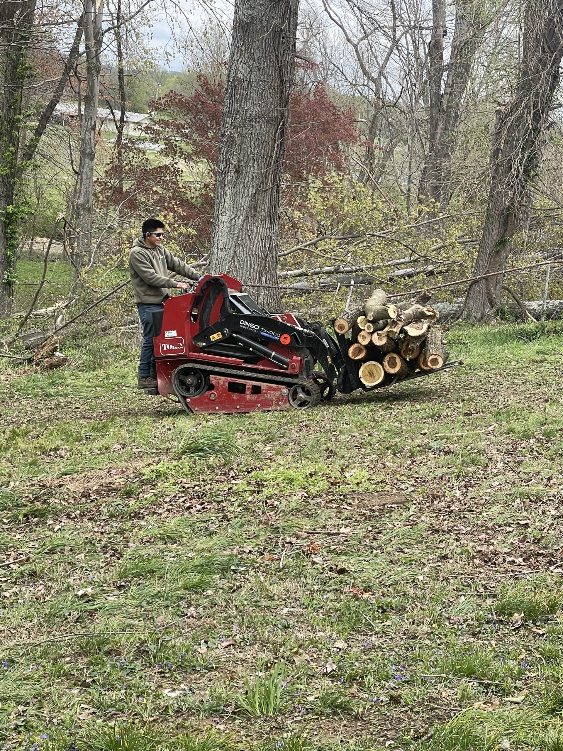 Check out our blog about Tree Trimming Frequency: How Often Should You Trim Your Trees?