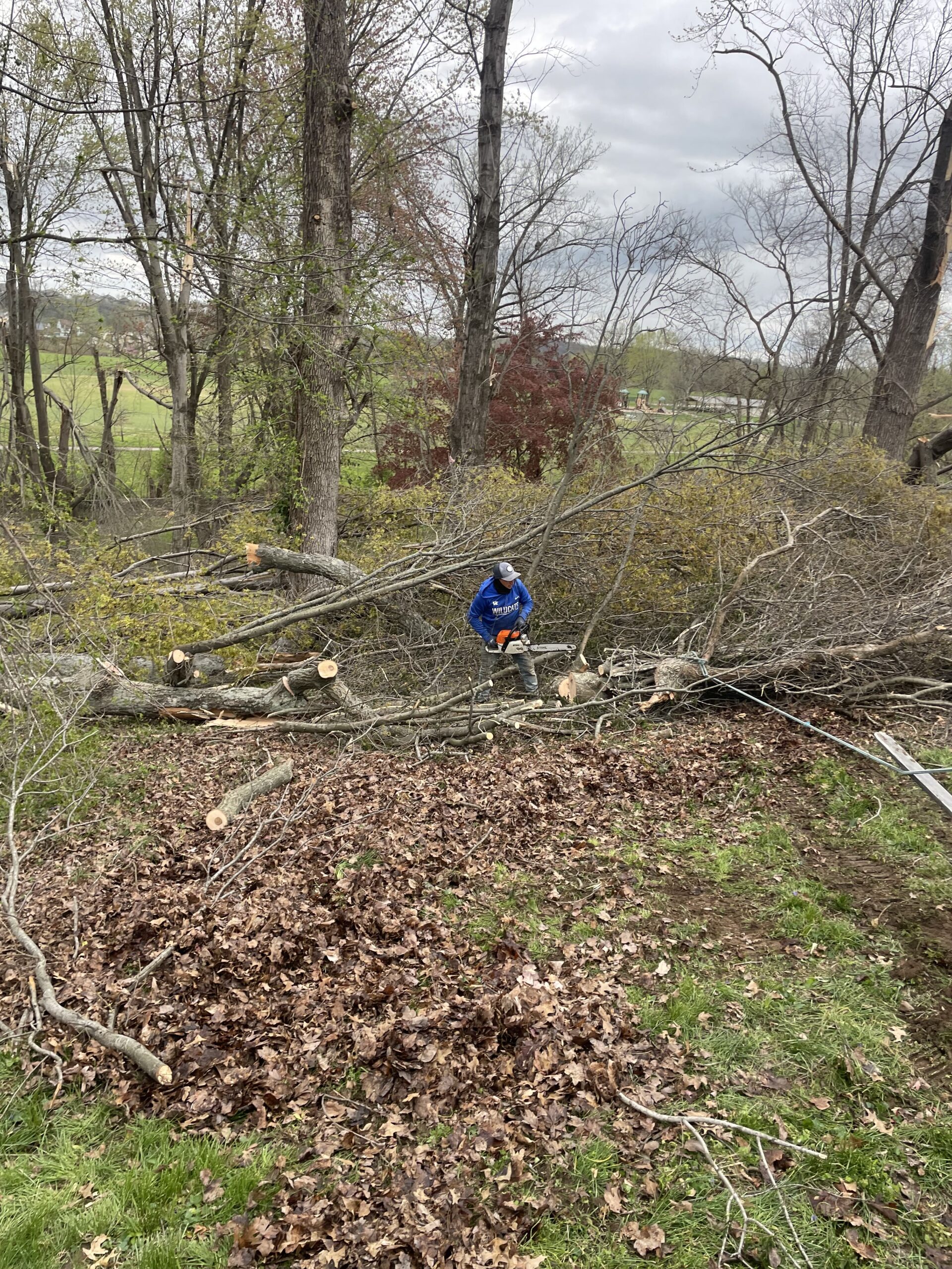 Check out our blog about Best Timing for Fall Yard Cleanup: Tidy Up Your Yard for Winter