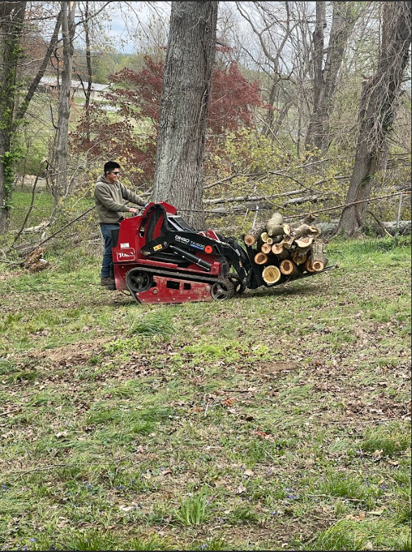 Check out our blog about Exploring the Role of Tree Trimming in Landscaping