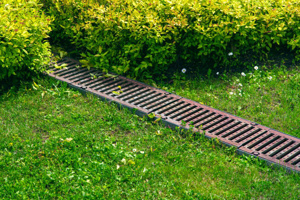 A metal drainage grate is embedded in the ground, surrounded by green grass and bordered by dense bushes, a well-maintained garden or park with effective yard drainage in Louisville KY.